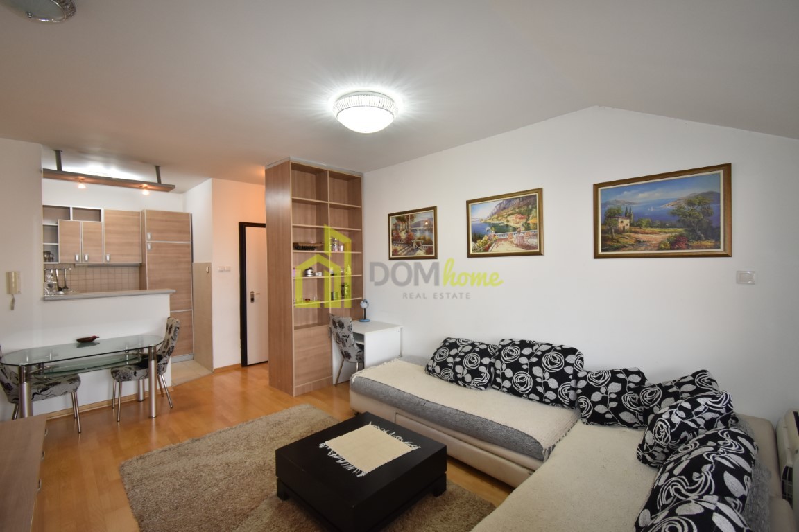 Jednosoban stan 45m2, Preko Morače, Namješten